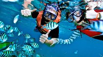 Snorkeling Experience At Blue Lagoon Bali With Lunch And Transfers
