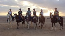 Hurghada: Sea and Desert Tour by Horse
