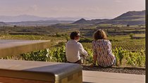 Rioja Wine Tour: Winery & Traditional Lunch From Bilbao