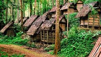 Private tour with lunch: Jakarta to Baduy tribal