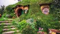 Private Luxury Tour to Hobbiton Movie Set & Waitimo Glowworm Cave