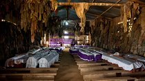 Ntarama and Nyamata Genocide Memorial Day Tour