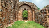 Mehrauli Archaeological Park Guided Walking Tour in Delhi