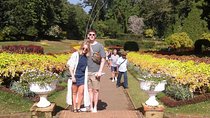 Sri Lanka Honeymoon Tour