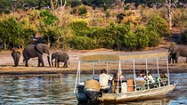 Chobe Day Trip 