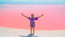 Wonderful Tour Las Coloradas & Buffete only from Cancun