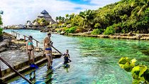 Full-Day Tour to Xcaret Plus with Transfer from Playa del Carmen and Lunch