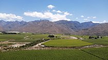  Winelands Tour
