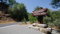 Sequoia Park Private Tour