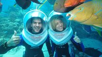 Seawalker Helmet Experience and Green Island Combo from Cairns