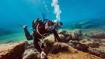 Eco Adapted Diving in Tenerife