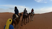 2 Days Private Tour from Marrakech to Zagora Sahara Desert