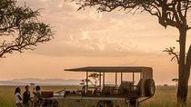 5 Days 4 Nights Exclusive Luxury Tanzania Safari
