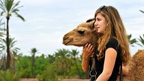 Atlas Mountains & 3 Valleys Day Tour Fro Marrakech Including Lunch & Camel Ride 