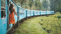 The World`s Most Beautiful Train Trip Kandy to Ella Private Day Tour