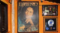 Bob Marley Nine Mile - Dunn's River Falls and Columbus Park Day Adventure