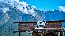 Kinabalu Park With Rumah Terbalik & Desa Cow Farm