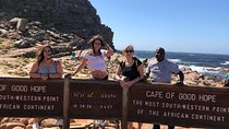 Cape Peninsula Private Tour