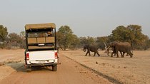 Game Drive in Mosi-Oa-Tunya National Park