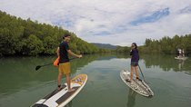 Mangroves SUP Tour Phuket