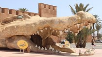 Croco Tour: Transfer to crocoparc Agadir (tickets included)