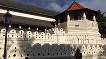 Kandy Day Tour from Colombo with Private vehicle & Chauffeur