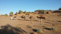 Marrakech – Erg Chegaga 4 days / 3 nights Desert Excursion & Camel Tour