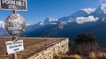 3 Days Ghorepani Poonhill Trek from Pokhara