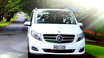 Auckland Cruise/Wharf & Airport Transfers 