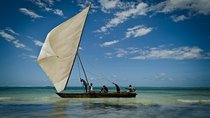 Pongwe Dhow Sailing