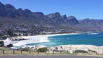 Cape Point, Boulder's Beach in Private Car Entrance Fees Included