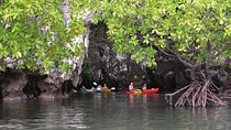 Small-Group Sea Kayaking in Ao Thalane Bay and Hong Island from Krabi