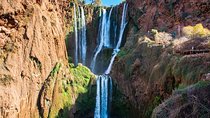 The Ouzoud Waterfalls: Day Trip from Marrakech