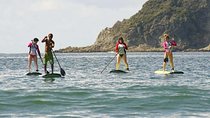 SUP Paddle board Manuel Antonio 