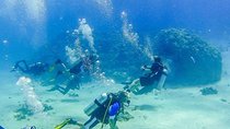 Snorkeling Trip At Port Ghalib Marina from Marsa Alam