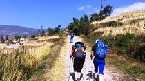 Kathmandu: 2 Nights 3 Days Chisapani Nagarkot Trek