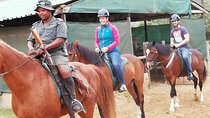 Addo Elephant Safari and Horseback Riding in Addo Combo