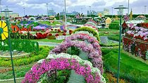 Private Dubai Miracle Garden tour with round trip transfers