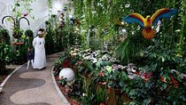 Private Dubai Miracle & Butterfly Garden Tour with transfers