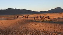 2 Luxury Days Tour to Desert Zagora from Marrakech with a group