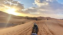 3 Luxury Days Tour Marrakech to Fez via Desert & Ait Ben Haedou 