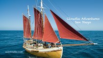 Private Sailing Tour -2 Hour (Up to 12 Passengers)