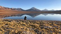 Private Expeditions Laguna Lejía and Geyser Solitario