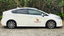 Airport Taxi Transfers from Colombo Airport to Udawalawe