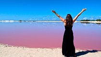 Las Coloradas & Rio Lagartos, Beautiful Eco Adventure from Tulum City