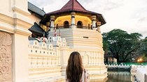  Kandy Sightseeing Day Tour from Colombo (All Inclusive)