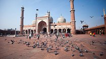 Private Delhi and Jaipur Tour from Delhi