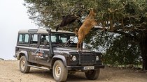 Land Rover Safari Minoan Route with driver and lunch