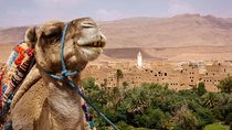 Ait ben haddou and Ouarzazate day trip from Marrakech