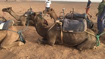 Marrakech to Zagora 2 Days Desert Tour